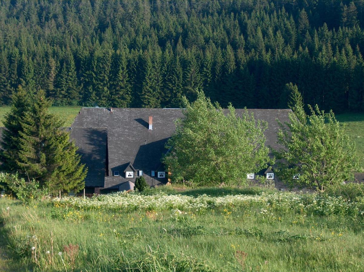 Zur Traube Schwarzwaldhotel & Restaurant Am Titisee Sankt Märgen Kültér fotó