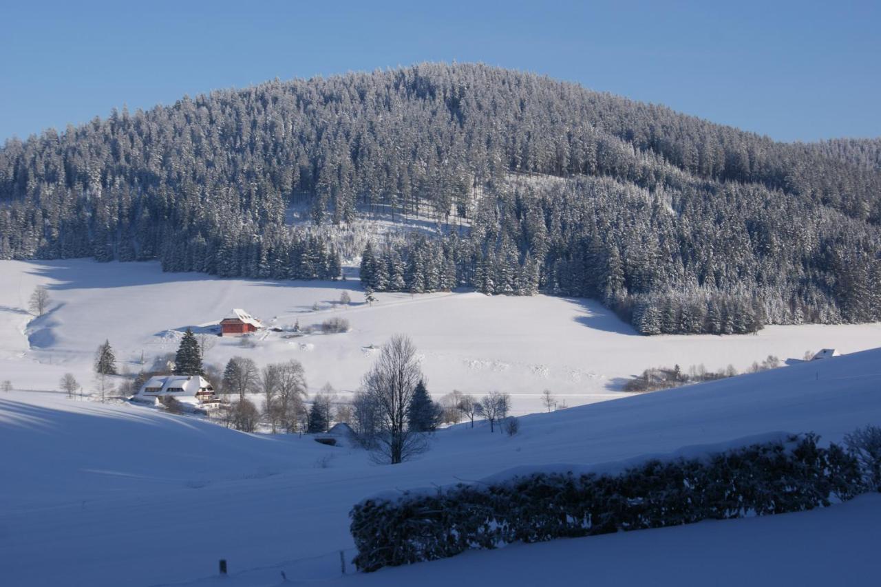 Zur Traube Schwarzwaldhotel & Restaurant Am Titisee Sankt Märgen Kültér fotó