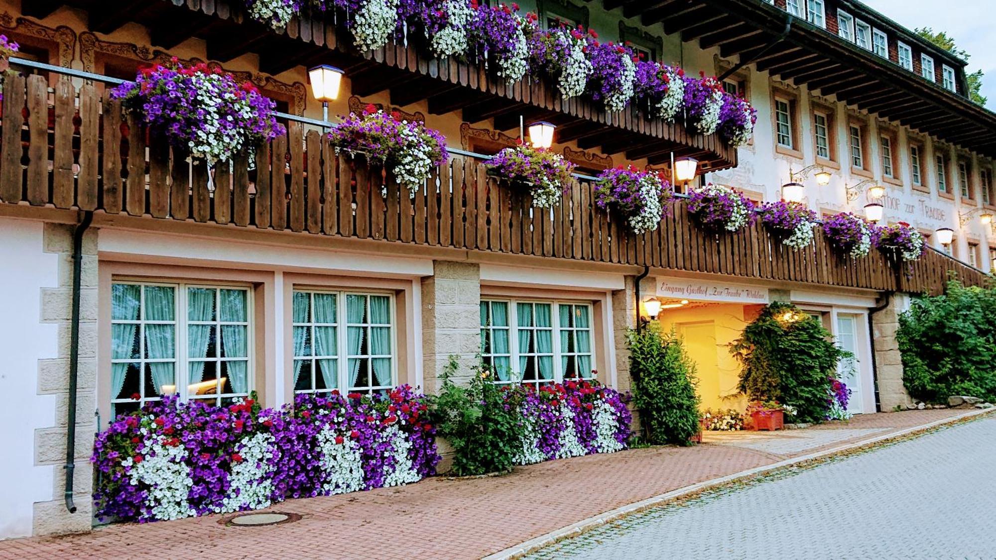Zur Traube Schwarzwaldhotel & Restaurant Am Titisee Sankt Märgen Kültér fotó